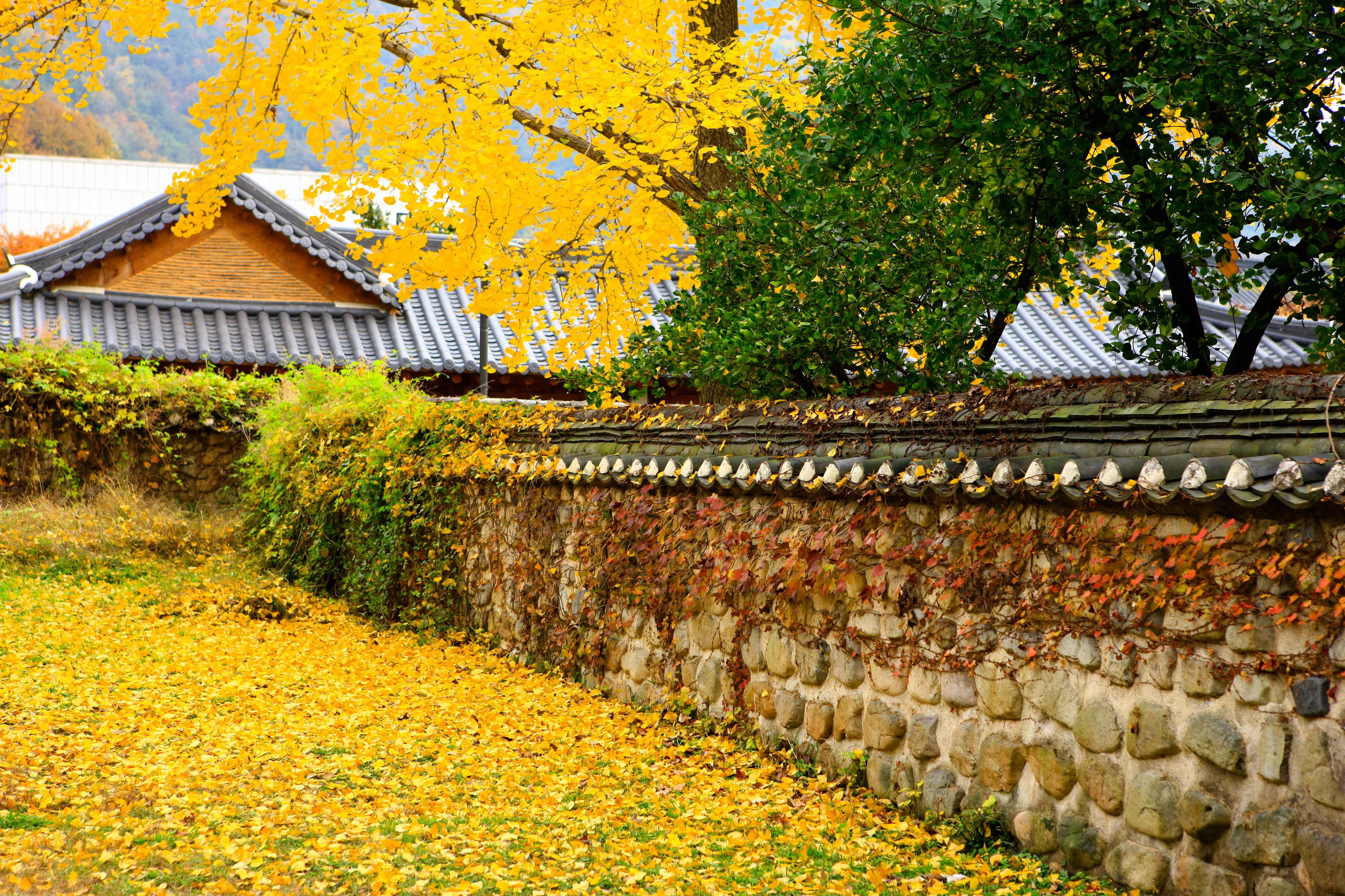 Jeonju gallery 16